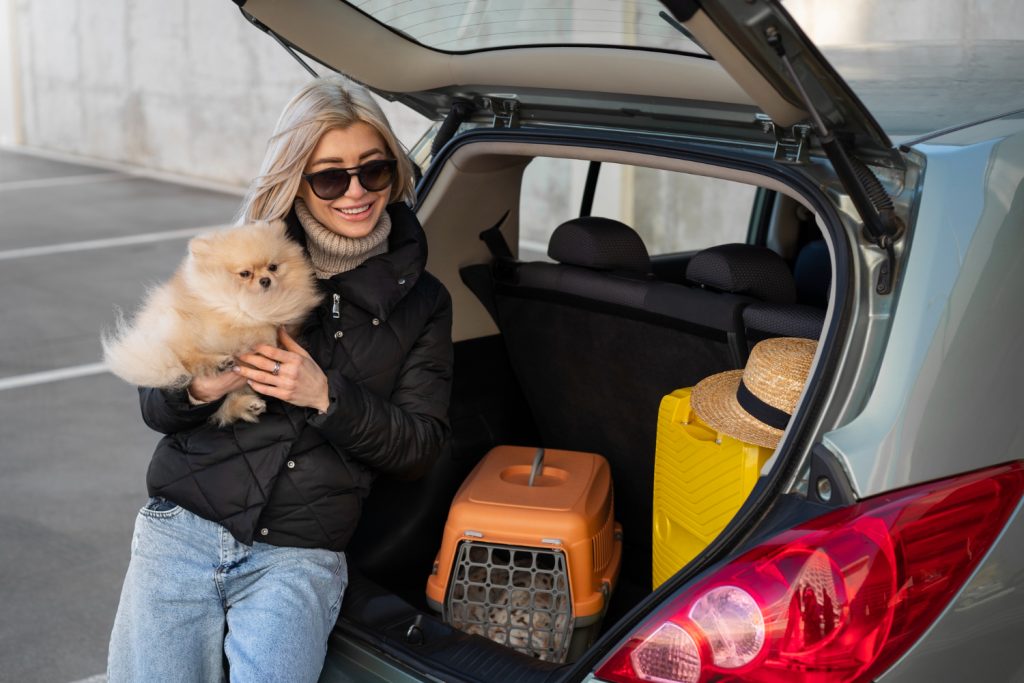 Dicas Para Viajar Com Seu Pet Em Seguran A Blog Popular Pet